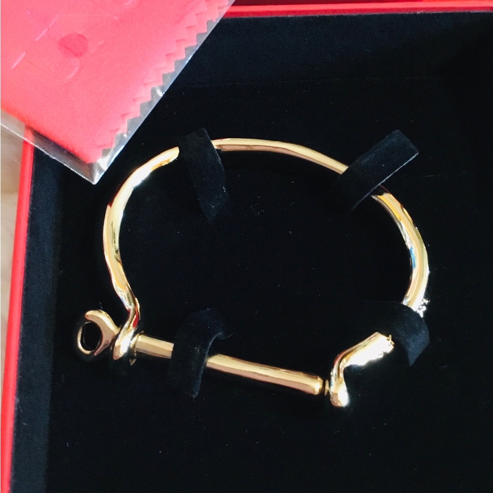 Bangle Bracelet with a shackle shaped clasp - Picture 2 of 3